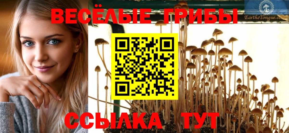 Псилоцибиновые грибы ЛСД Черкесск